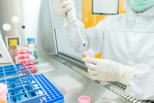 A scientist pipetting samples in a biosafety cabinet
